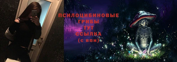гидропоника Нягань