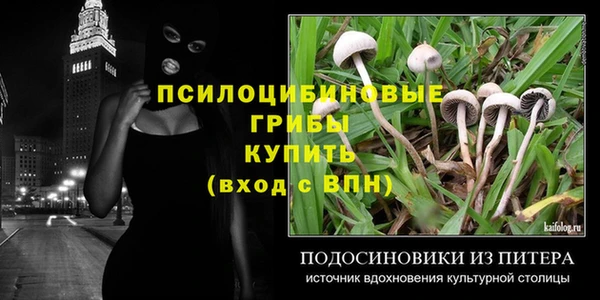 мяу мяу кристалл Няндома
