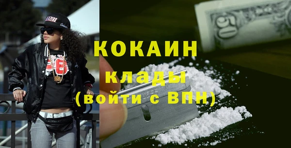 прущие грибы Тобольск