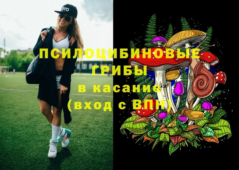 Галлюциногенные грибы прущие грибы  МЕГА ссылки  Александровск 